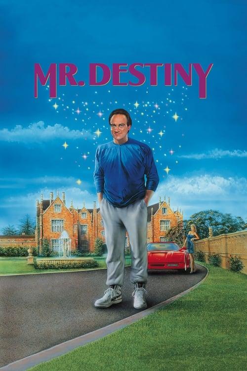 Download Mr. Destiny poster
