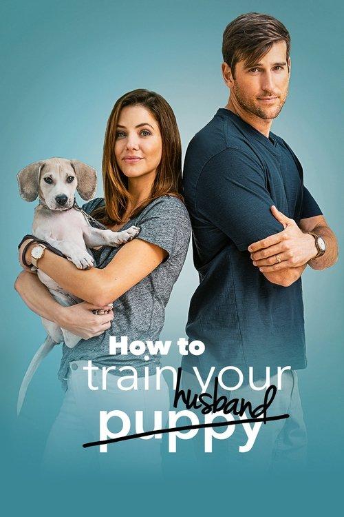 Download How to Train Your Husband poster
