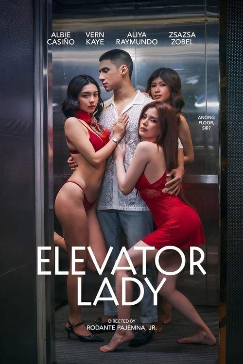 Download Elevator Lady poster