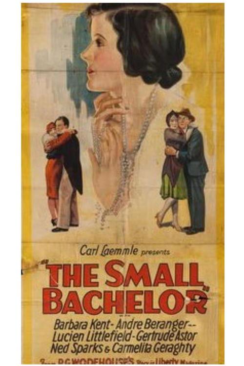 Download The Small Bachelor poster