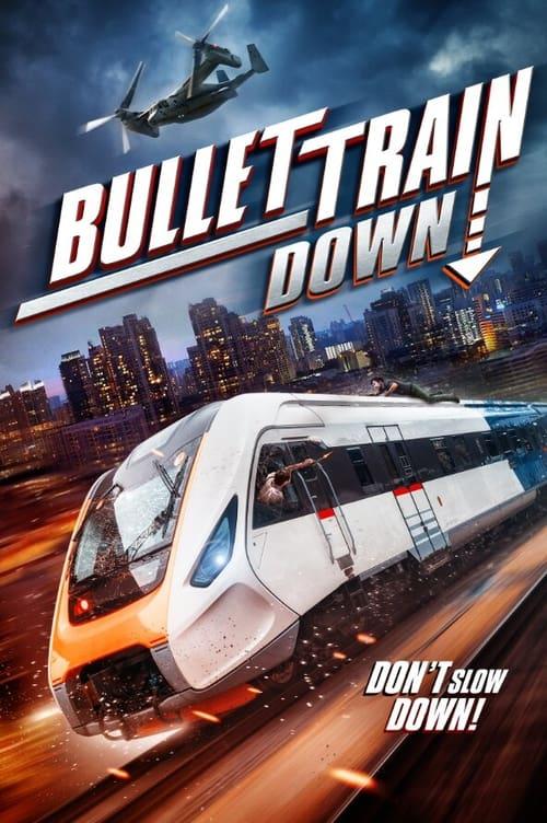 Download Bullet Train Down poster