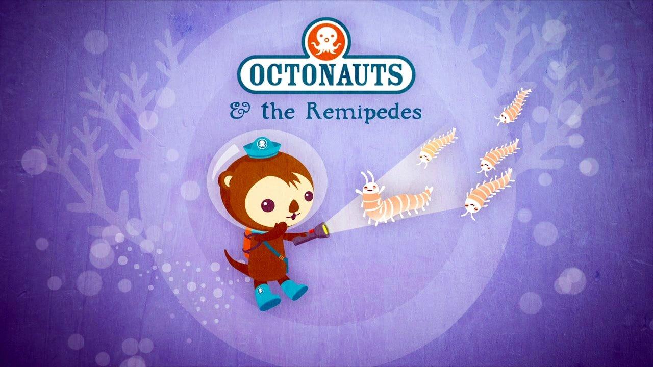 The Remipedes
