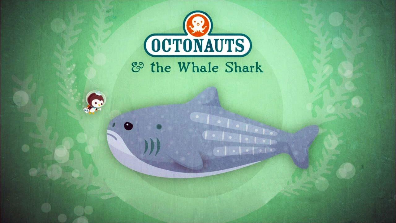 The Whale Shark